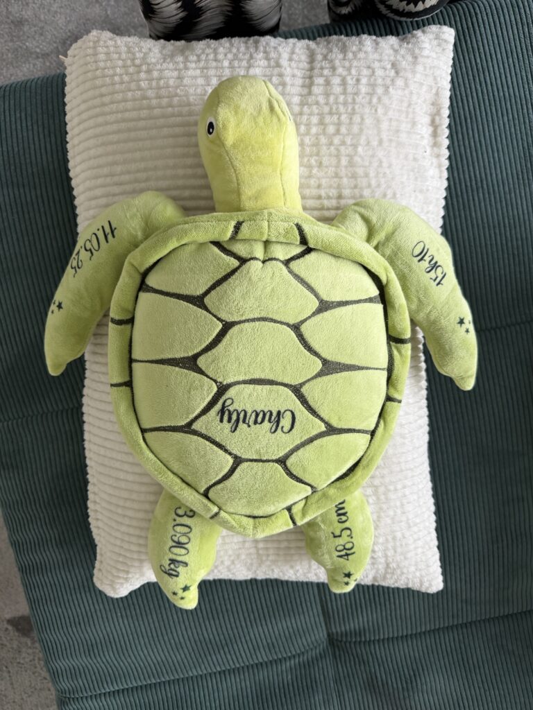 Peluche tortue personnalisé — Cyntia Créations
